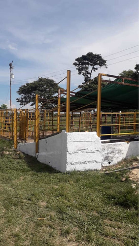 Imagen 10 de 16 de Finca Ganadera Doble Propósito Santo Domingo