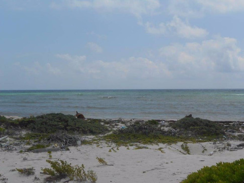 Imagen 6 de 16 de Oportunidad!! Terreno Frente Al Mar Mahahual-rio Indio P2699