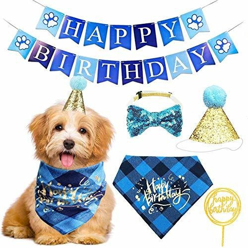 Neo Loons Perro Cumpleaños Bandana Set Niño Niña, Lindo P