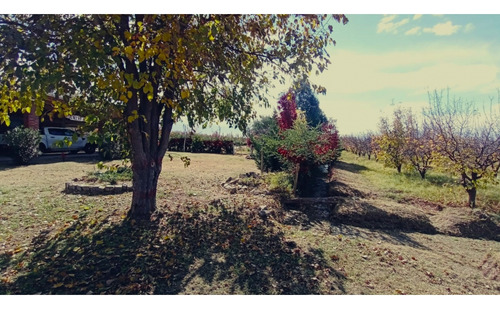 Interesante Y Hermosa Finca Productiva En Venta