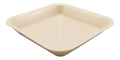 Plato Desechable Biodegradable Charola Térmica 066 Reyma