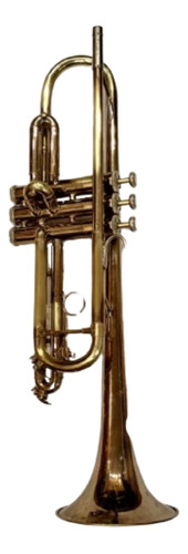 Trompeta Bach Tr300 1 Año De Garantia