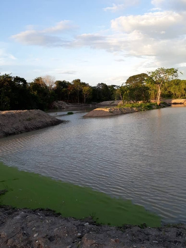 Imagen 14 de 14 de Se Vende Finca Jusepin Edo Monagas Ve01-1458ju-rcor
