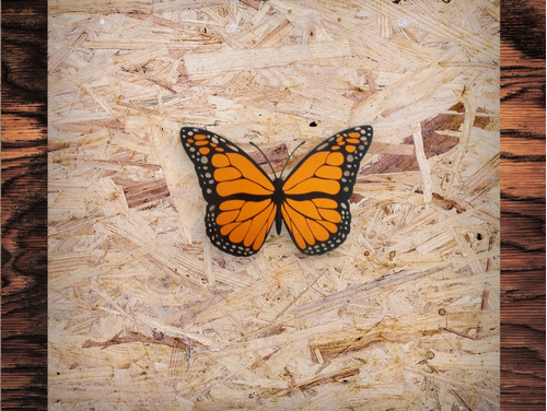 Calcomanias De Mariposa Vinilo Decorativos, Pegatinas N9