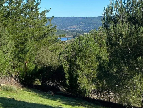 Parcelas Semiplanas A 8 Minutos Del Lago Vichuquén, 