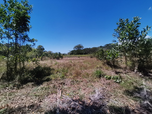 Guerra, Solar 7,700m2, Total O Mitad, Proyecto Cerrado.