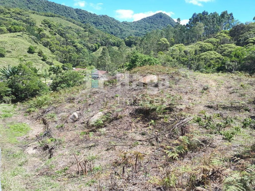Imagem 13 de 26 de Chácara À Venda Em Canelinha/sc - 1026c