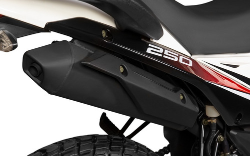 Imagen 7 de 10 de Moto Torino Tiger 250 22