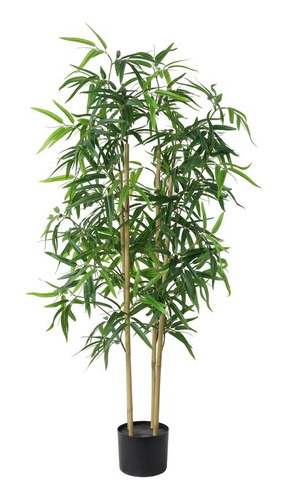 Bamboo 127cm