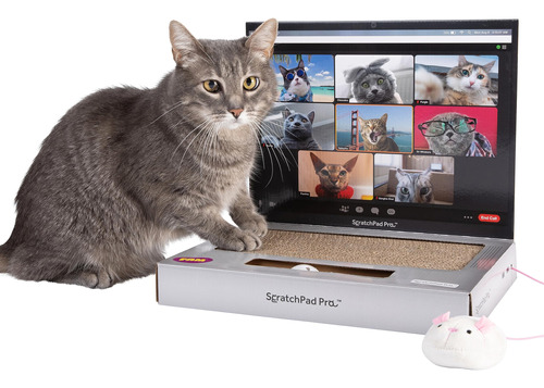 Laptop Cat Toy Scratcher Con Pantalla De Videochat Y Ball Tr