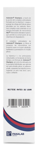 Aminoter Shampoo Reparación Y Protección Microesferas 300ml
