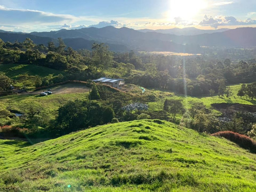 Lote En La Ceja Vereda El Tabor 