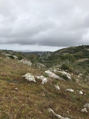 Imagen 5 de 10 de Chacras De 5 Y 7 Has En Zanja Del Tigre - Entrega Y Cuotas - Consulte!!!!!!!! - Zona Rural Zona Rural