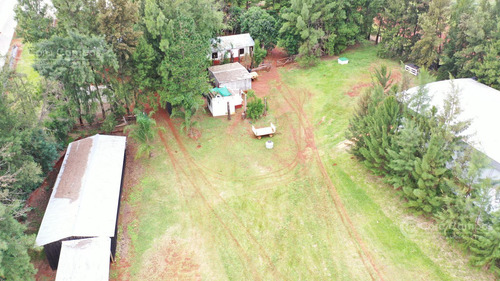 Se Vende, Chacra De Arándanos, En Producción 25 Ha En San José, Apóstoles - Misiones