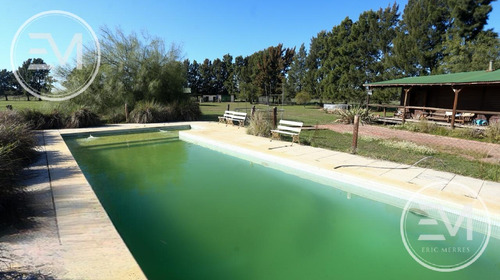 Venta Cabaña Sobre Gran Fracción De 4 Lotes Presidente Perón