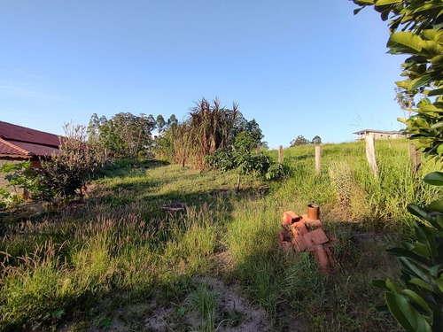 Imagem 4 de 30 de Chácara 16000m2, Casa Sede 100m2, 3 Dormitórios, 1 Suíte, Cozinha Americana, Pomar Formado, Poço Artesiano, Ótima Localização - Ch00232 - 70722519