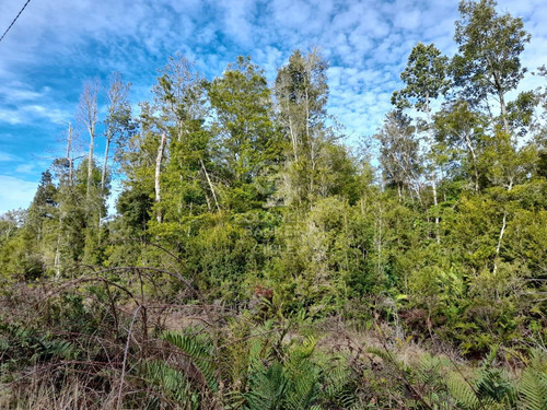 Parcela En Venta - Lomas De Monte Verde