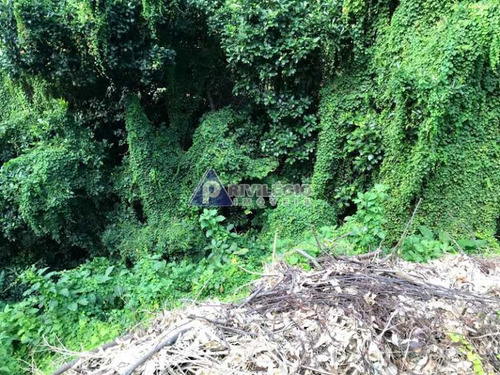 Imagem 4 de 17 de Terreno No Cosme Velho - 12131