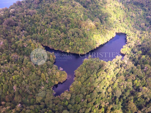 Imagen 5 de 14 de 21590 - Exclusiva Isla Canal Comau / Hornopirén