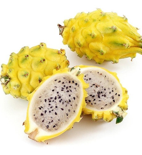 Pitaya Amarela Colombiana(dragon Fruit)c/10 Muda Auto Fértil