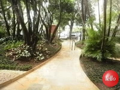 Imagem 25 de 29 de Apartamento - Ref: 223510