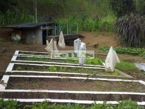 Imagem 14 de 15 de Sítio Para Venda - 2053