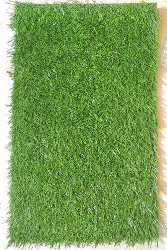 Seven Pet 1510 Tapete Entrenador Pasto verde 51cm x 41cm