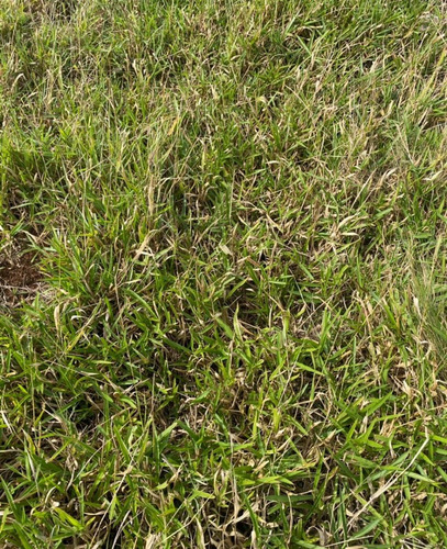 Imagem 30 de 30 de Gui5- Terreno Para Chacaras Direto Com Proprietario!!!