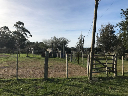 Hermoso Campo De 123 Has. Vistas A Las Sierras (ref. 2117)