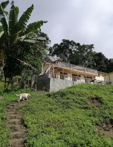 Finca Ganadera Cachipay Cundinamarca