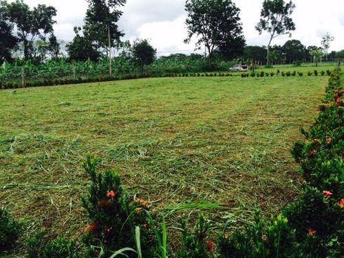 Imagen 9 de 10 de Se Vende Lote 749 M2 La Fortuna San Carlos