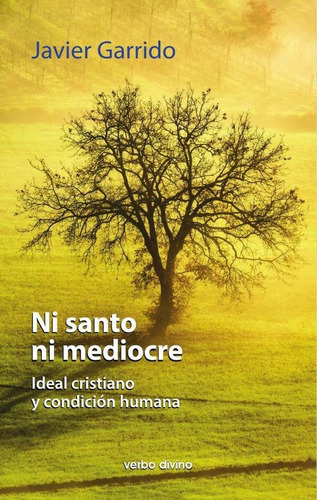 Ni Santo Ni Mediocre, De Javier Garrido Goitia. Editorial Verbo Divino, Tapa Blanda En Español, 1992