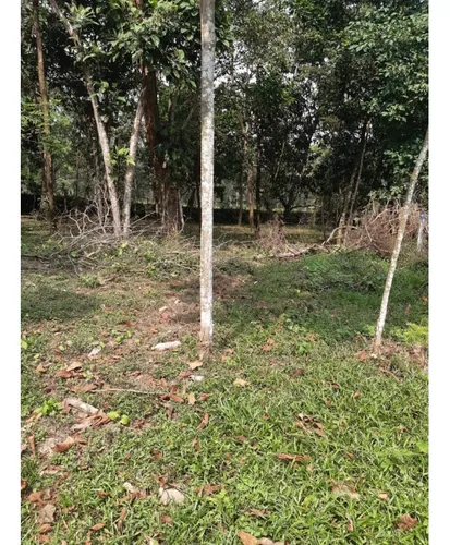 Vendo Lotes En Restrepo Meta De 2200 M2