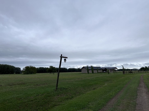 Imagen 3 de 14 de Lote En Venta En Estancia Las Lilas