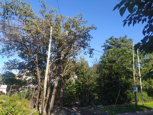 Imagen 3 de 5 de Venta Lote Jose C Paz