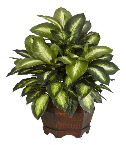 Nearly Natural  Dieffenbachia Dorada Con Maceta, Planta Dec.