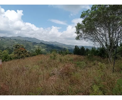 Lote En Venta Sector Llanogrande- Parcelación Vía Don Diego