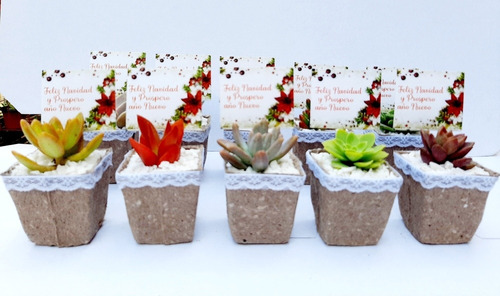 Cactus Suculentas Regalos Empresariales Navideños 10unidades