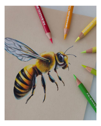 Set De Dibujo Prismacolor Completo Para Empezar A Dibujar