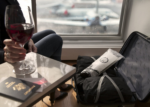 Bolsa De Vino Para Viaje, Juego De 6 Unidades
