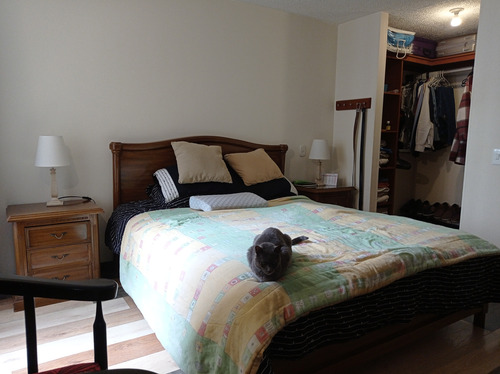 Maravilloso Apartamento En Tibabita