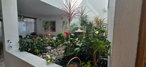 Casa En Venta, En Col. Periodista, Miguel Hidalgo, Cdmx