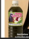 Shampoo Único En Todos Los Estados Echo Por Curandera