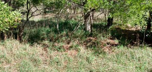 Imagen 4 de 8 de * A 5 Cdras Del Mar * Lote De 300 Mts En Esquina ** C/ Escri