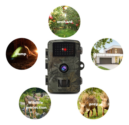 Sensor De Cámara Con Detector De Movimiento Para Animales Al