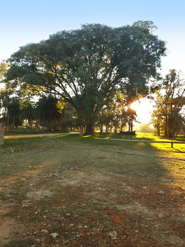 Imagen 2 de 7 de Lote En Garín En Pesos