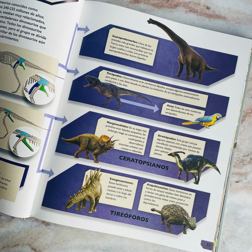 La Gran Enciclopedia De Dinosaurios Lexus Tapa Dura