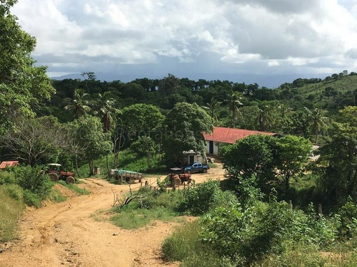 Imagen 11 de 30 de &&& Finca En Venta Aroa Yaracuy Rah 23-4755 // Invierta Seguro Con Rentahouse//