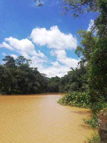Chácar, Sítio, Venda E Compra, Campo Limpo Paulista, Moinho - Ch00073 - 69272493