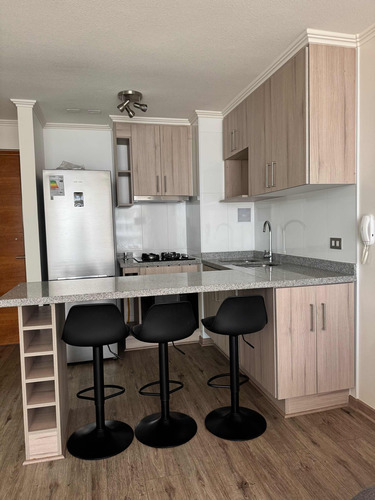 Departamento 2d 2b Amoblado Gastos Comunes Incluidos